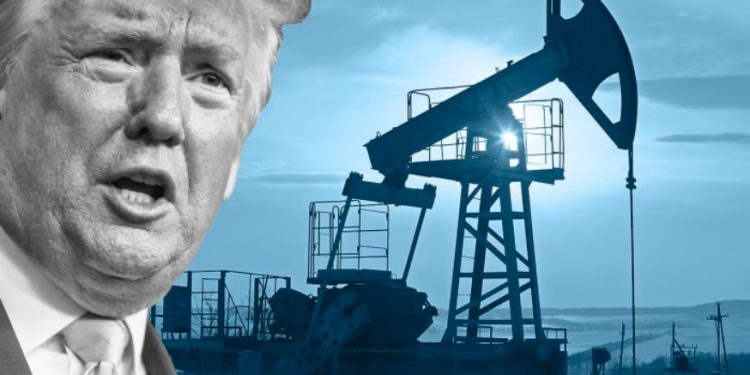 صناعة النفط ترامب