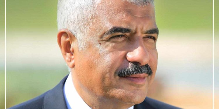 هشام طلعت مصطفى