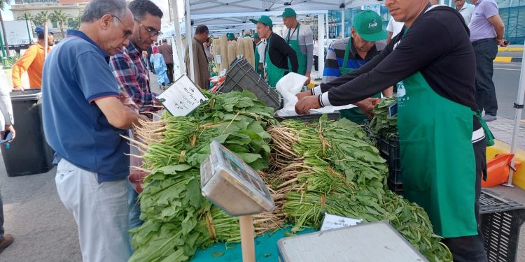 أسواق اليوم الواحد