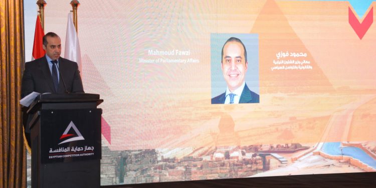 محمود فوزى، وزير الشئون النيابية والقانونية