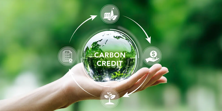 شهادات الكربون ؛ سوق الكربون