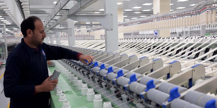 القابضة للغزل والنسيج ؛ صناعة الغزل والنسيج ؛ الصناعة ؛ المصانع ؛ 7 صناعات ذات أولوية ؛ 709 شركات
