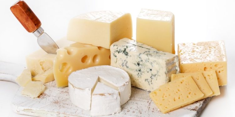 الجبن المطبوخ ؛ الأجبان ؛ الألبان ؛ الصناعات الغذائية