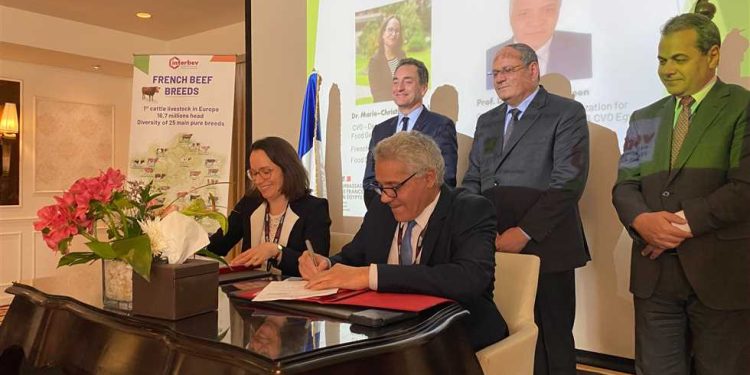 رابطة "إنتربيڤ" الفرنسية تبحث تعزيز صادرتها من الأبقار لمصر