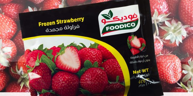 شركة الإسماعيلية الوطنية للصناعات الغذائية «فوديكو»