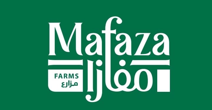 "الكنانة-مفازا" تستثمر 25 مليون جنيه فى خط إنتاج جديد لتصنيع الزيتون