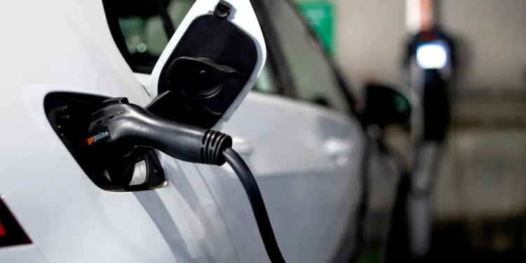 قريبًا.. الحكومة تطلق مبادرتين لدعم السيارات والحافلات للتحول إلى الغاز والكهرباء