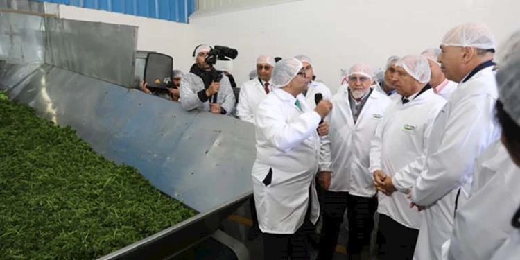 "القلعة" تفتتح مصنع تجفيف الأعشاب بمزارع دينا باستثمارات 400 مليون جنيه