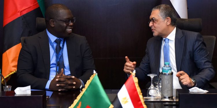 هيئة الاستثمار تستضيف منتدى الأعمال المصري الزامبي الأول