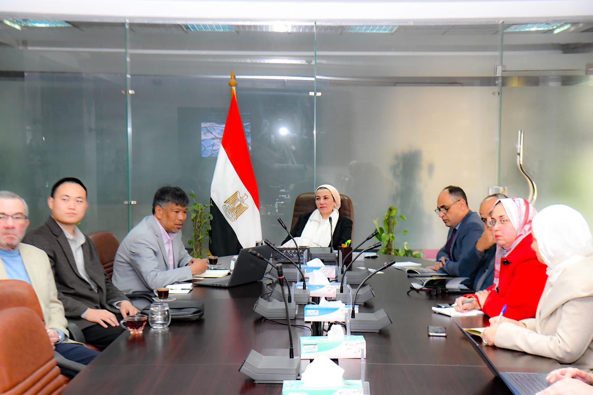 مصر والصين تبحثان تعزيز التعاون في مشروعات التشجير واستعادة الغابات