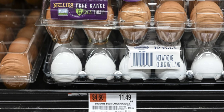 أمريكا ؛ البيض ؛ التضخم الأمريكي