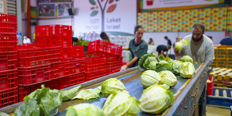 الغذاء في إسرائيل