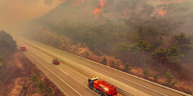 كوريا الجنوبية تعتزم تخصيص 6.8 مليار دولار لمواجهة حرائق الغابات وتهديدات التجارة