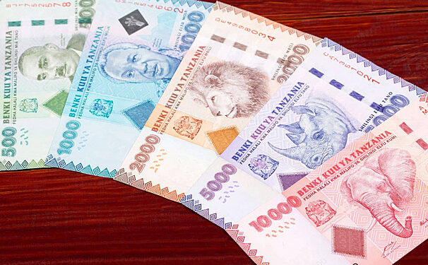 الشلن التنزاني