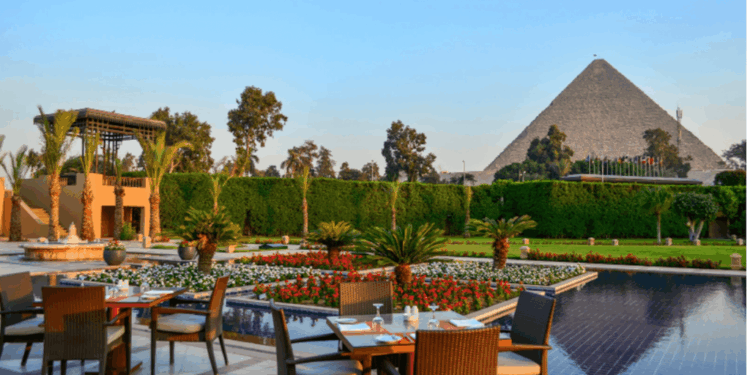 خطوات واضحة لبداية آمنة.. كيف تحصل على ترخيص مطعم جديد؟