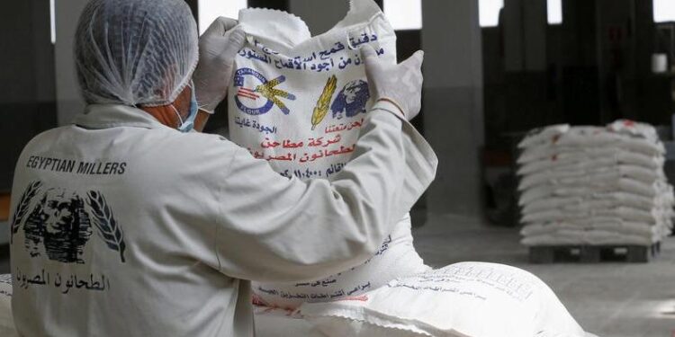 الدقيق المصرى