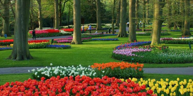 معرض زهور الربيع