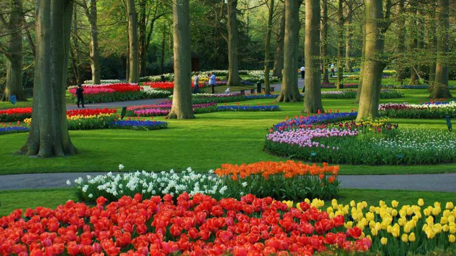 معرض زهور الربيع