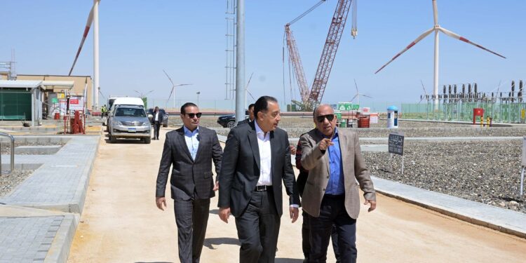 الحكومة تختار المؤهلين لإنشاء 4 مشروعات طاقة شمسية بـ388 مليون دولار