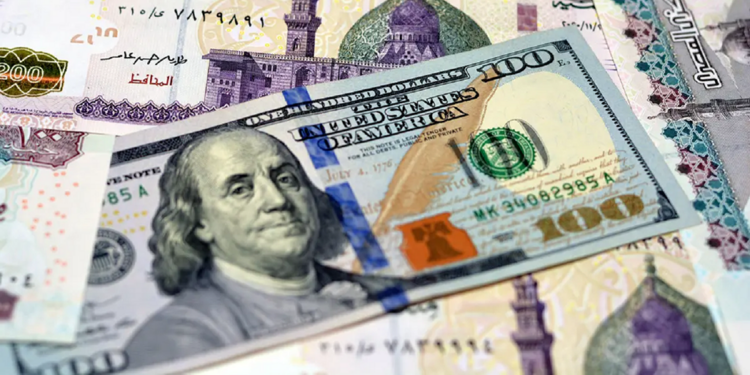 سعر الدولار