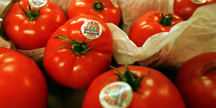 أمريكا تفرض رسومًا بنسبة 21% على واردات الطماطم المكسيكية بدءًا من يوليو