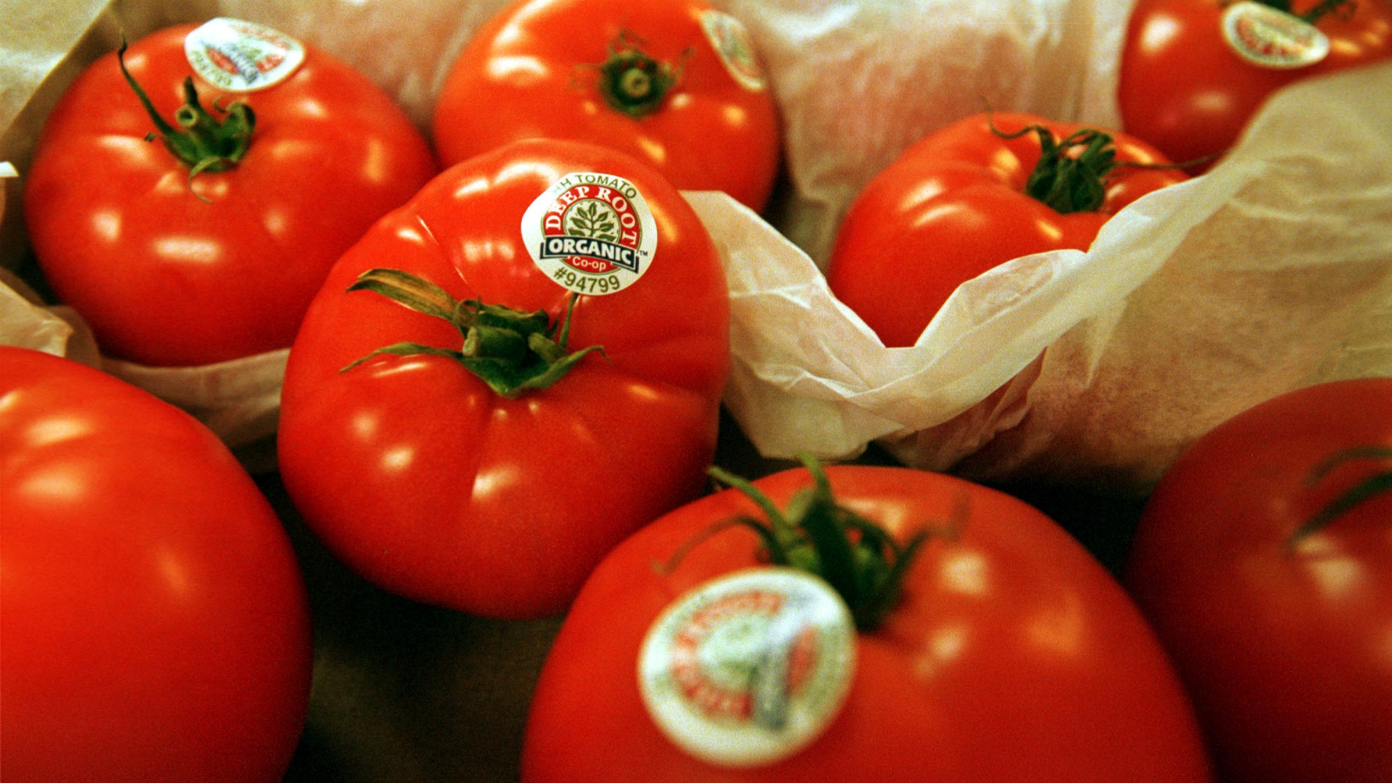 أمريكا تفرض رسومًا بنسبة 21% على واردات الطماطم المكسيكية بدءًا من يوليو