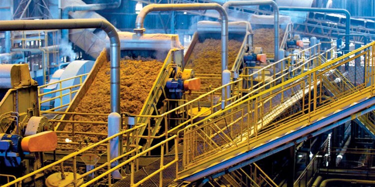 الوقود الحيوي