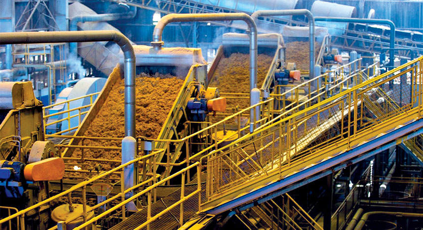 الوقود الحيوي