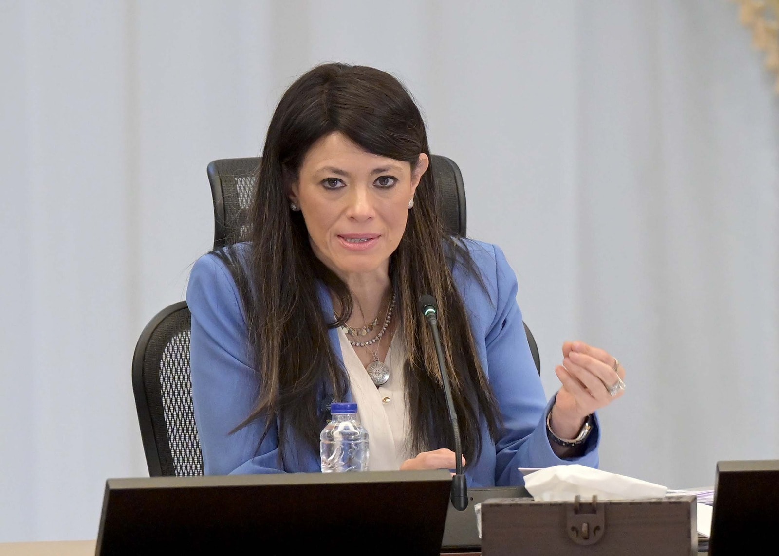 الدكتورة رانيا المشاط وزيرة التخطيط