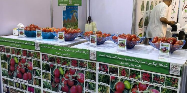 "اليكس للمستلزمات الزراعية" تفاوض وكالات صينية لاستيراد تقاوي الخضر