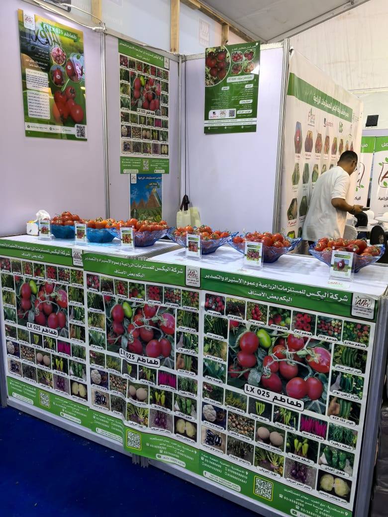 "اليكس للمستلزمات الزراعية" تفاوض وكالات صينية لاستيراد تقاوي الخضر