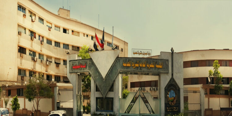 الهيئة المصرية العامة للثروة المعدنية