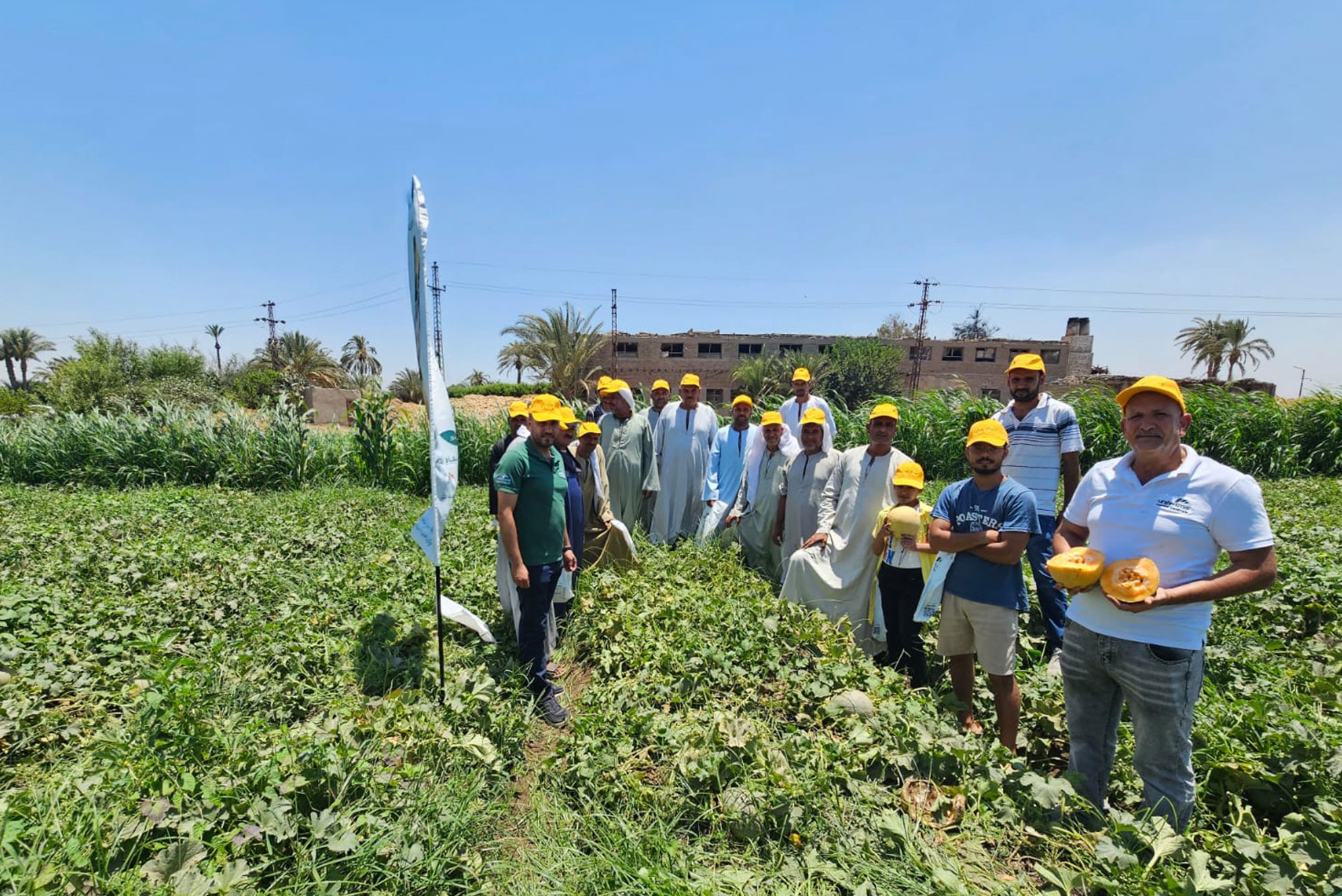 يونيفرت مصر سامتريد