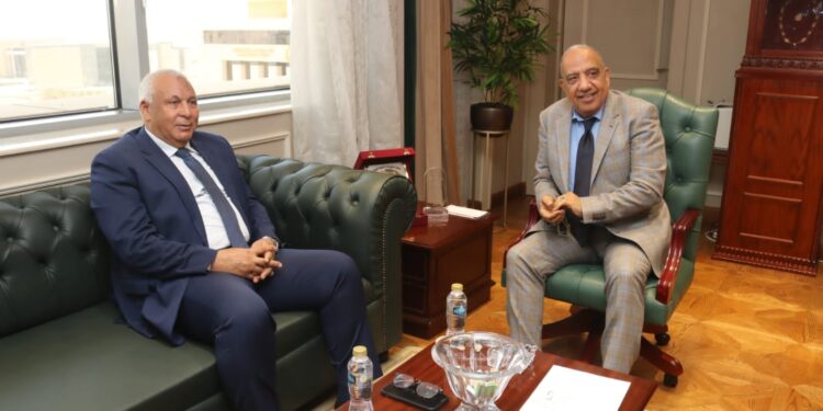 «الكهرباء» و«الوادى الجديد» تبحثان تعزيز مشروعات الطاقة الشمسية