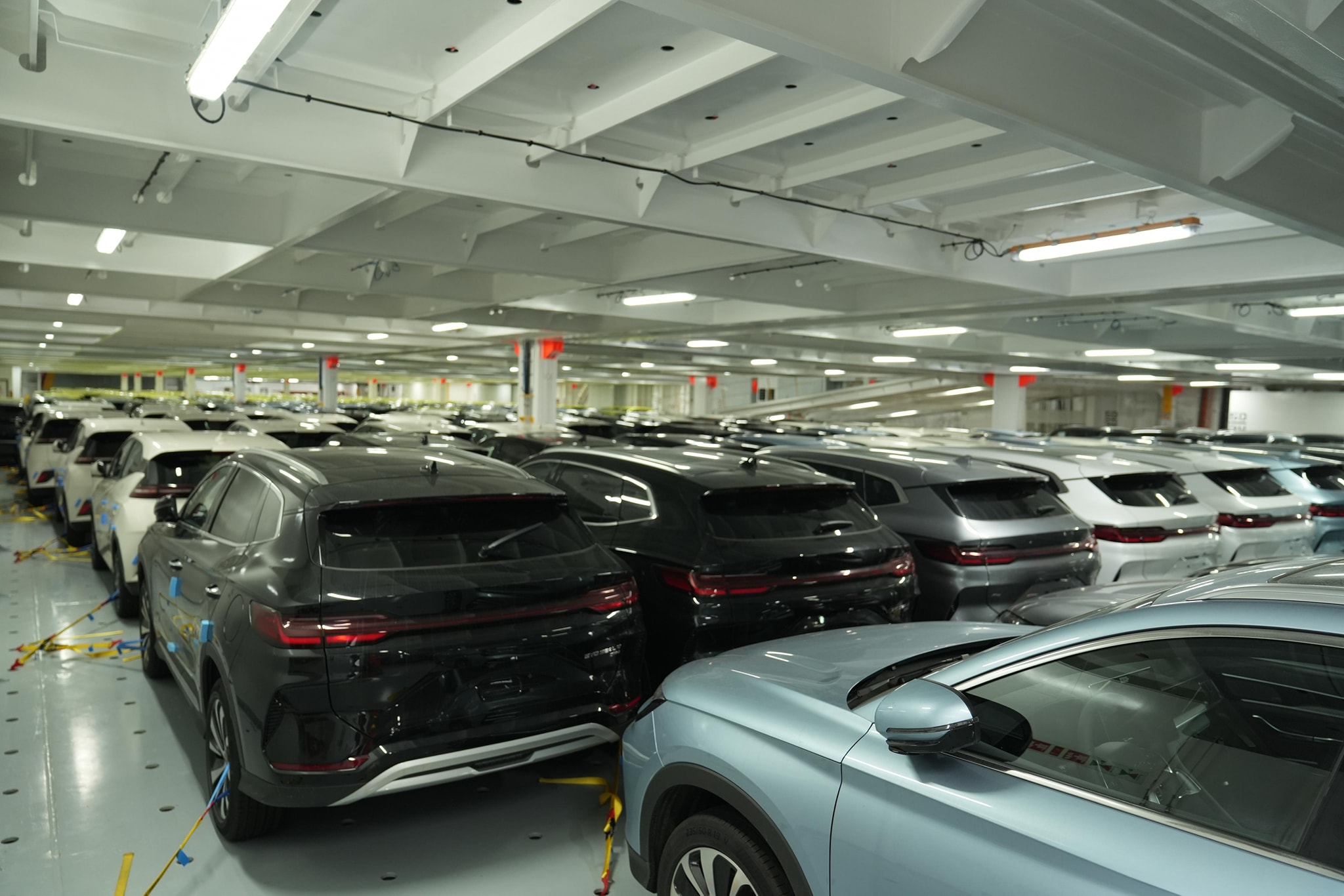 518555776 1283246797179071 6182763000038384576 n