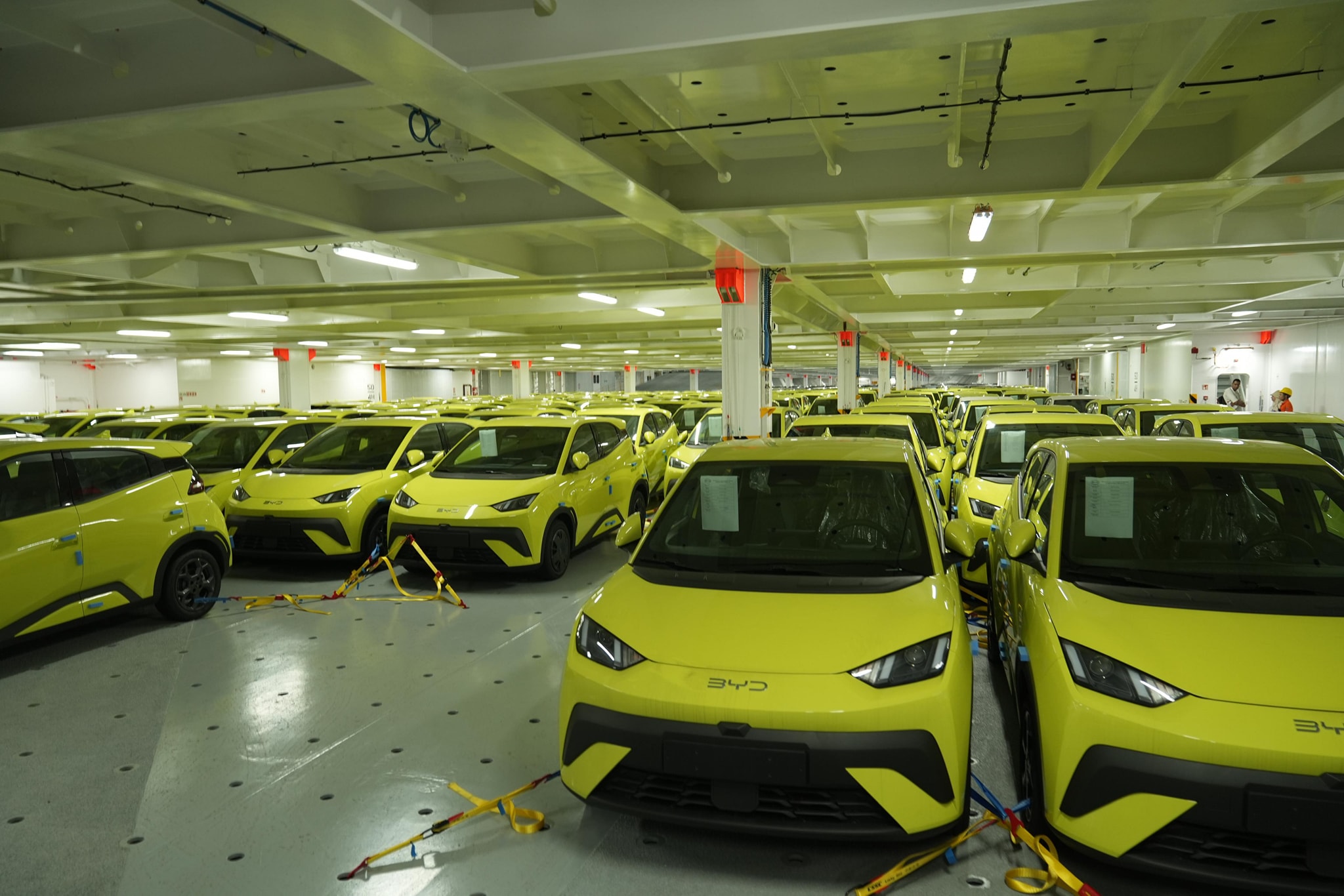 518959653 1283246707179080 7145819205854858475 n