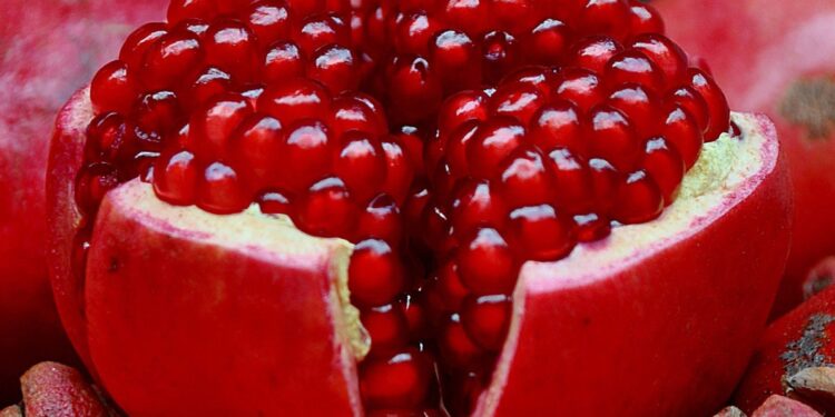 الرمان المصري