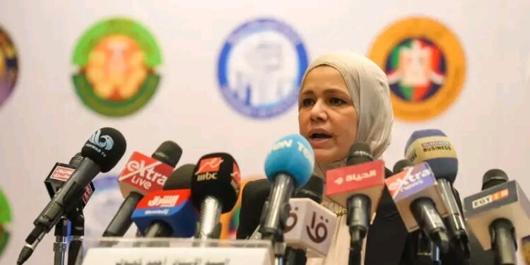 رشا عبدالعال رئيس مصلحة الضرائب