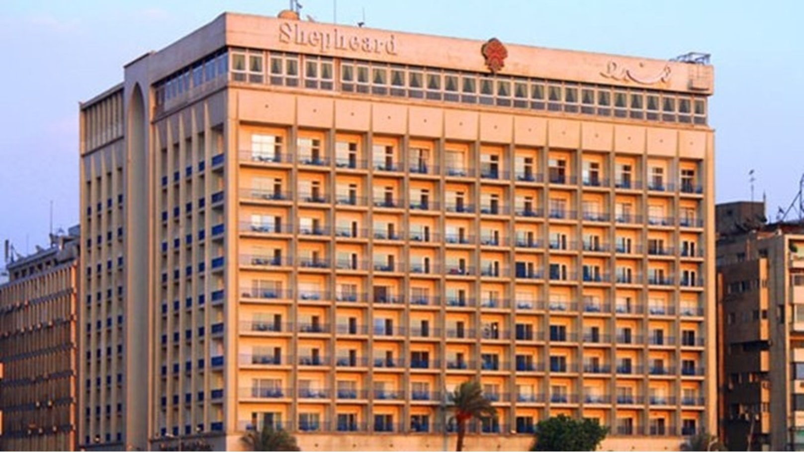 520231410459932032503