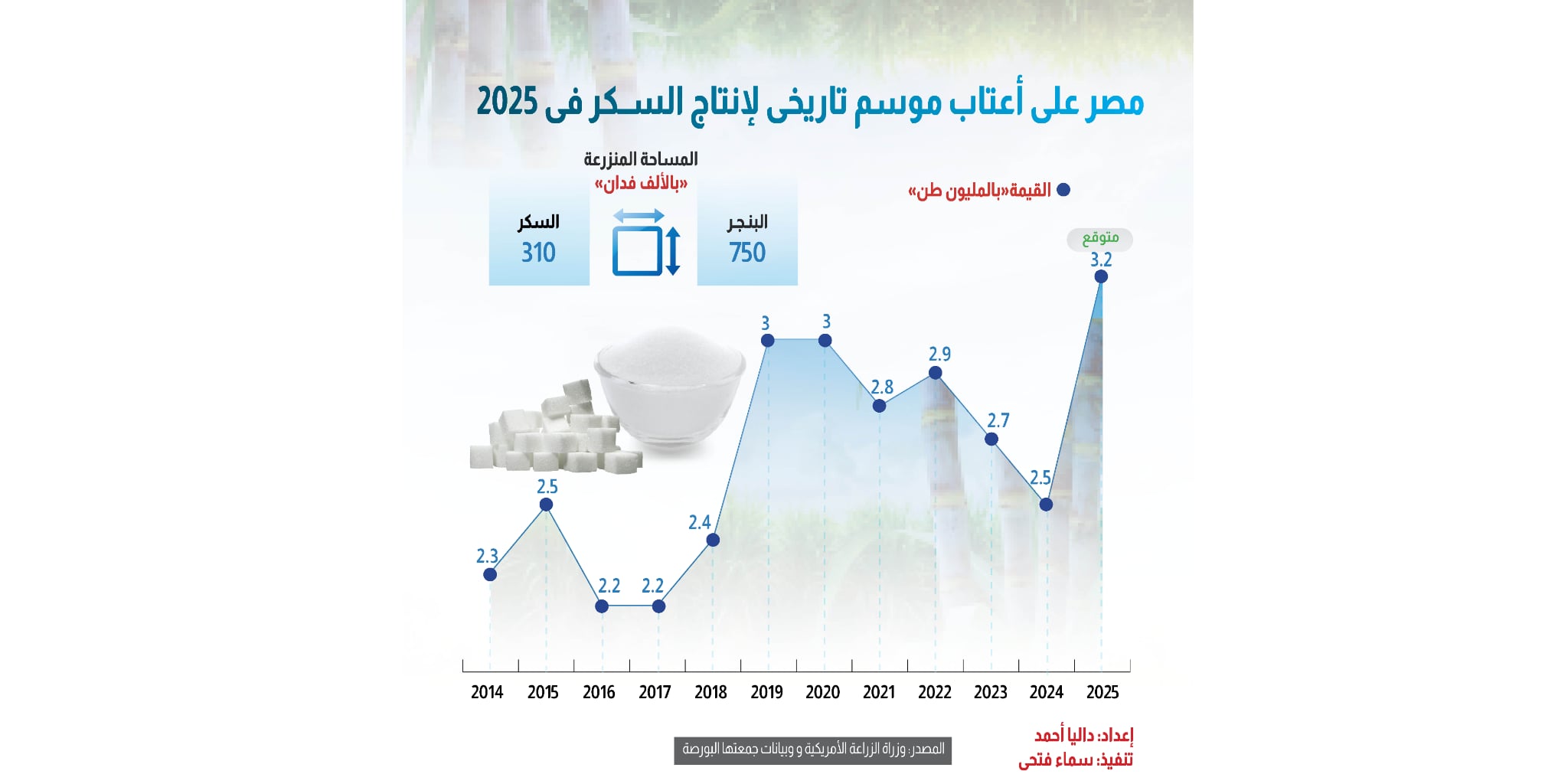 مصر على أعتاب موسم تاريخي في إنتاج السكر خلال 2025