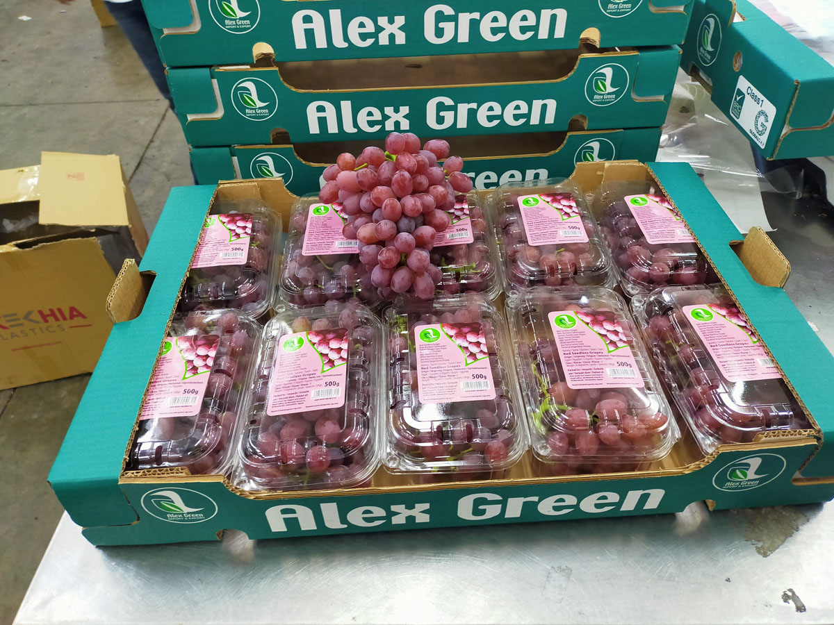 شركة اليكس جرين للاستيراد والتصدير