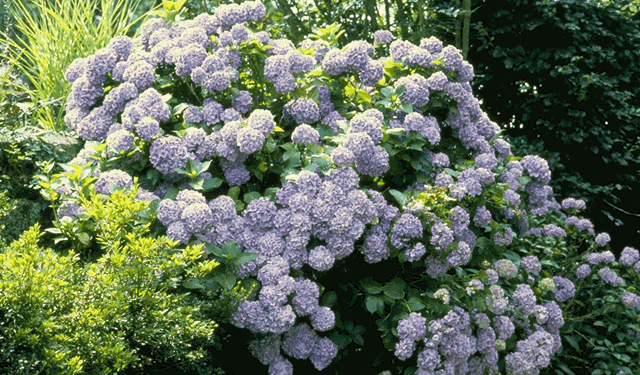 1461454279 296444 886 246274