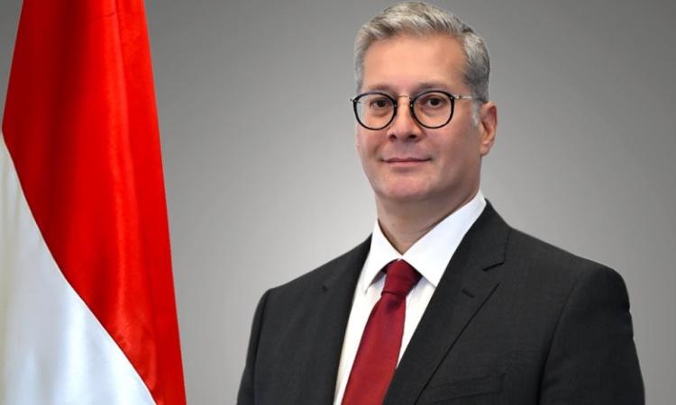 وزير البترول كريم بدوي