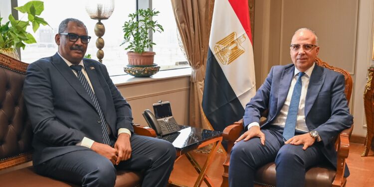 وزير الري: حريصون على التعاون مع السودان خاصة بمجال المياه