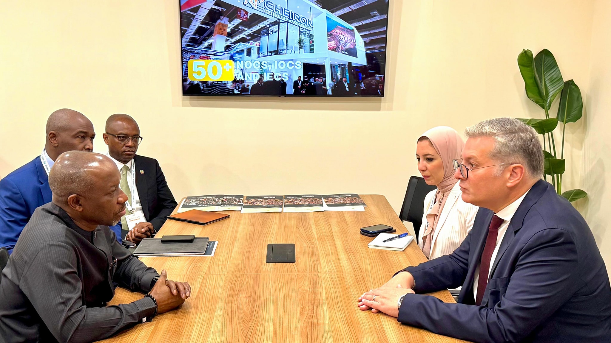 مصر ونيجيريا تبحثان تعزيز التعاون في مجالات الطاقة