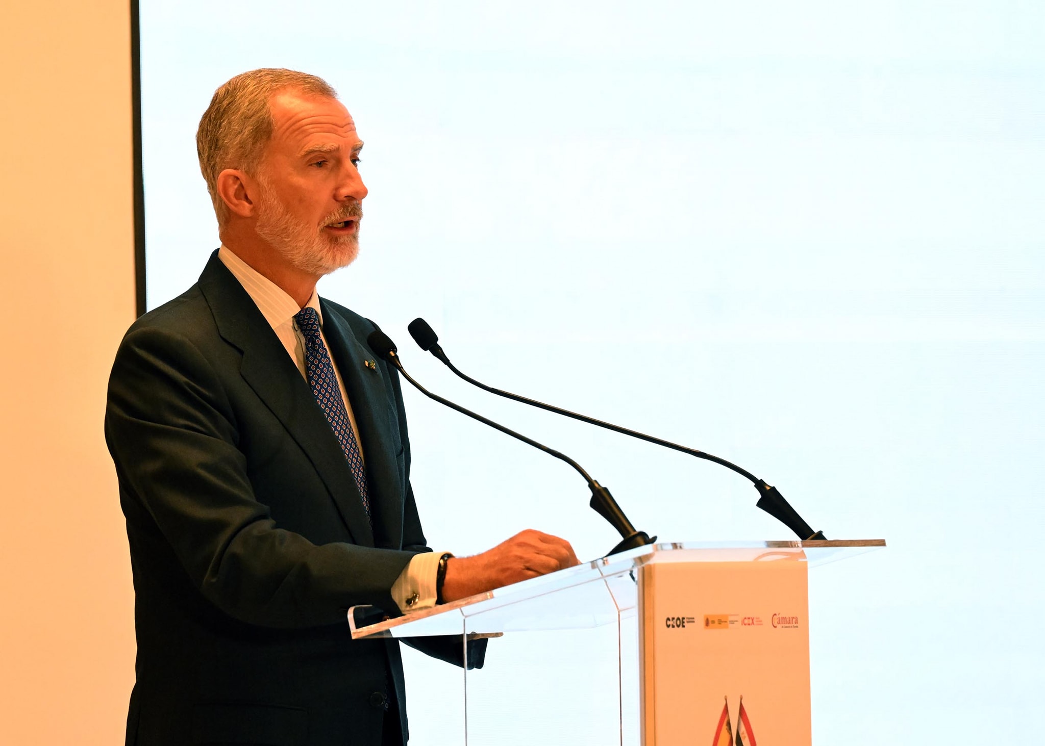 ملك إسبانيا: 1.6 مليار يورو حجم وارداتنا من مصر خلال 2024