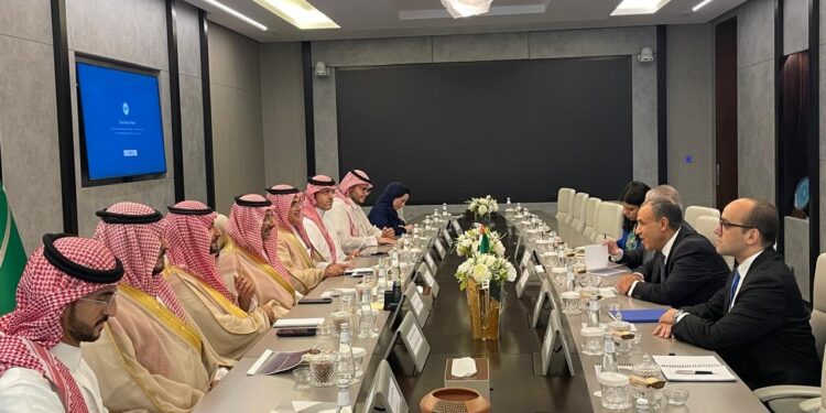 وزير الخارجية: نتطلع جذب استثمارات سعودية للقطاع الصناعي المصري
