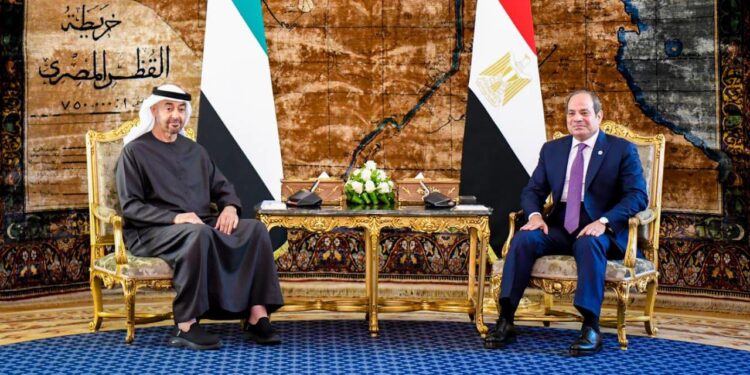 "السيسي": تذليل العقبات أمام الاستثمارات الإماراتية في مصر