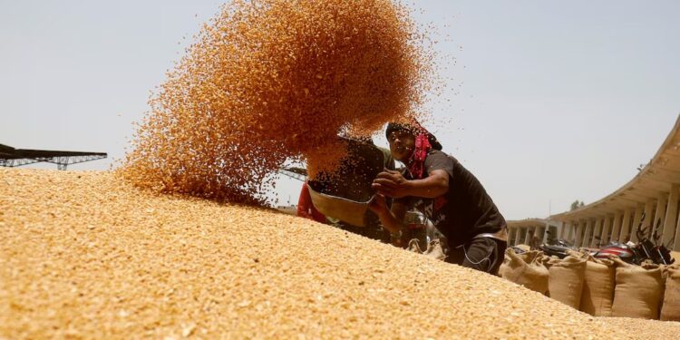 أغذية ؛ واردات القمح