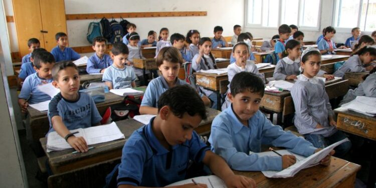 التعليم قبل الجامعي المصري المؤشرات الدولية تنفي التصورات الخاطئة 780x470